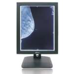 19 Inch Grayscale Monitor