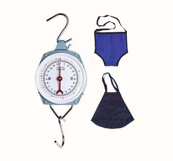 Hanging scale